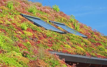 Halton View living roof systems