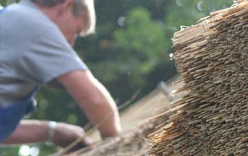 professional Halton View thatchers