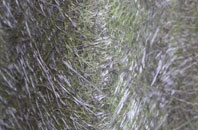 Halton View fibreglass roof work